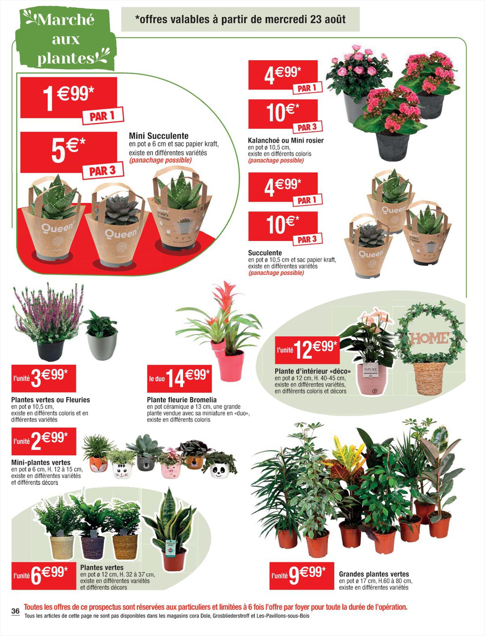 Catalogue Cora 22 – 28 Août 2023 Page 36