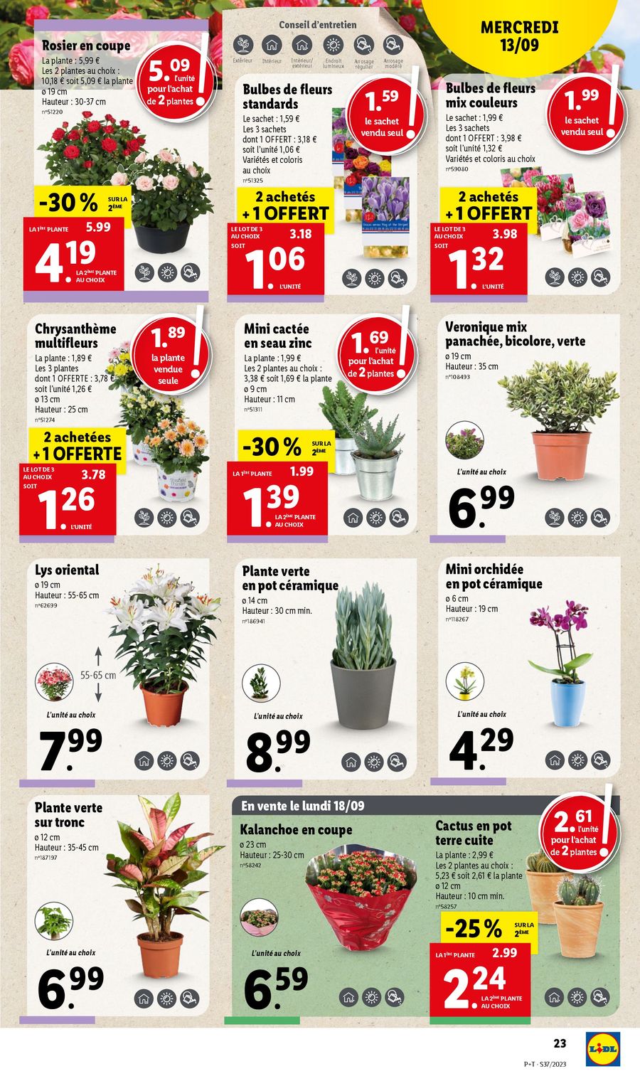 Catalogue Lidl 13 – 19 Septembre 2023 Page 27