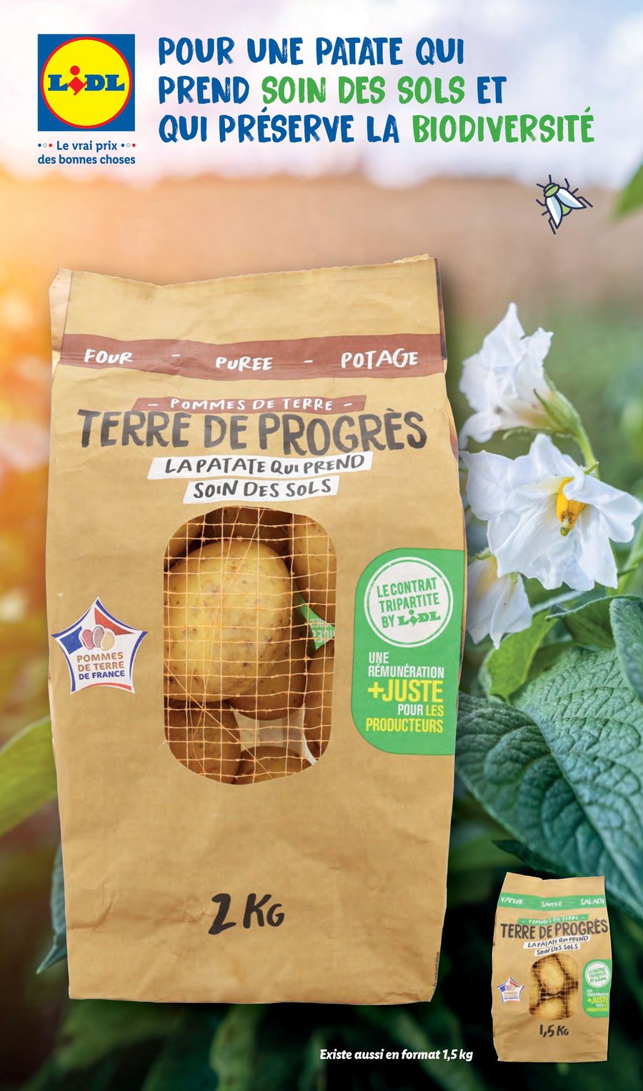 Catalogue Lidl 16 – 21 Novembre 2023 Page 49