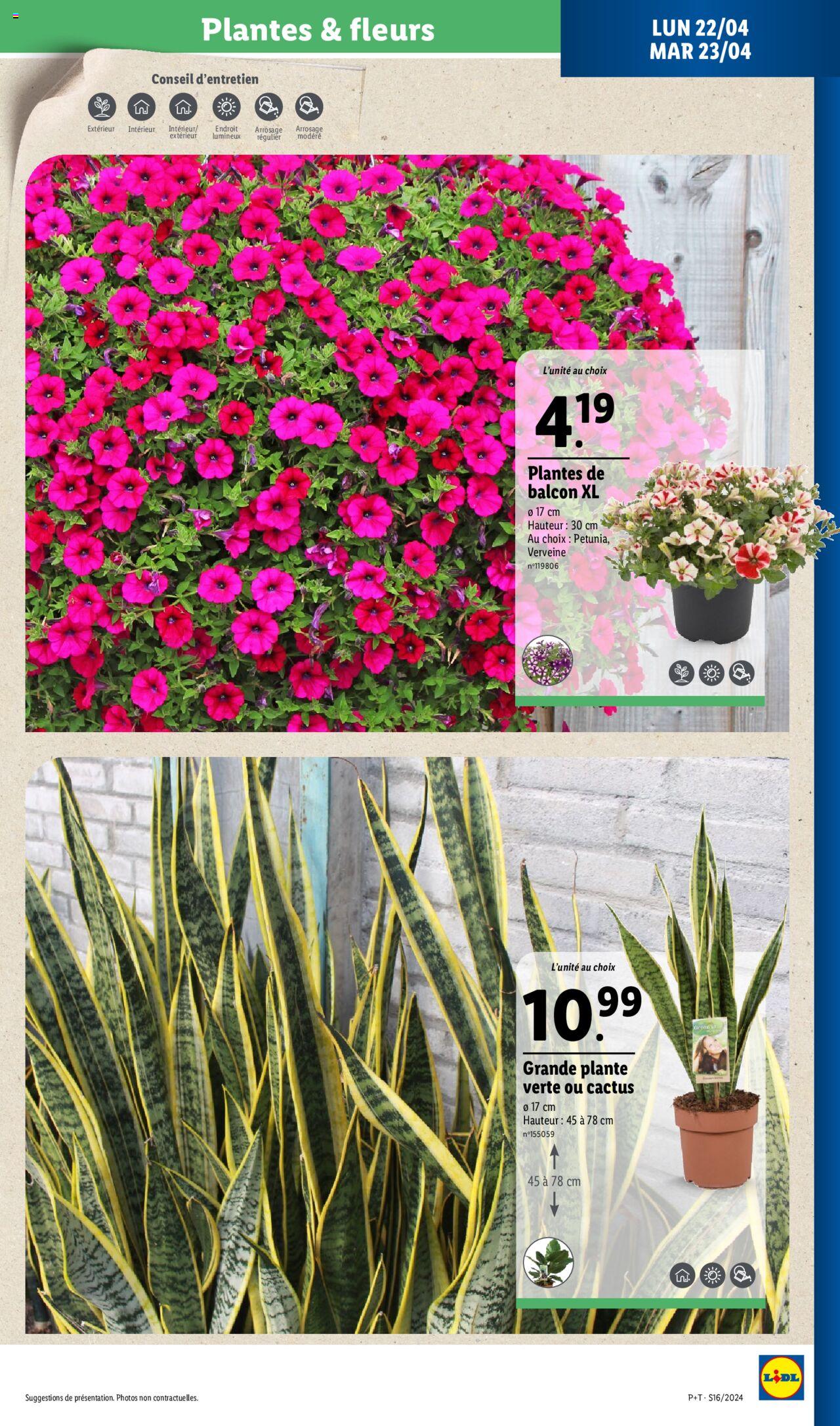Catalogue Lidl 17 – 23 Avril 2024 Page 31