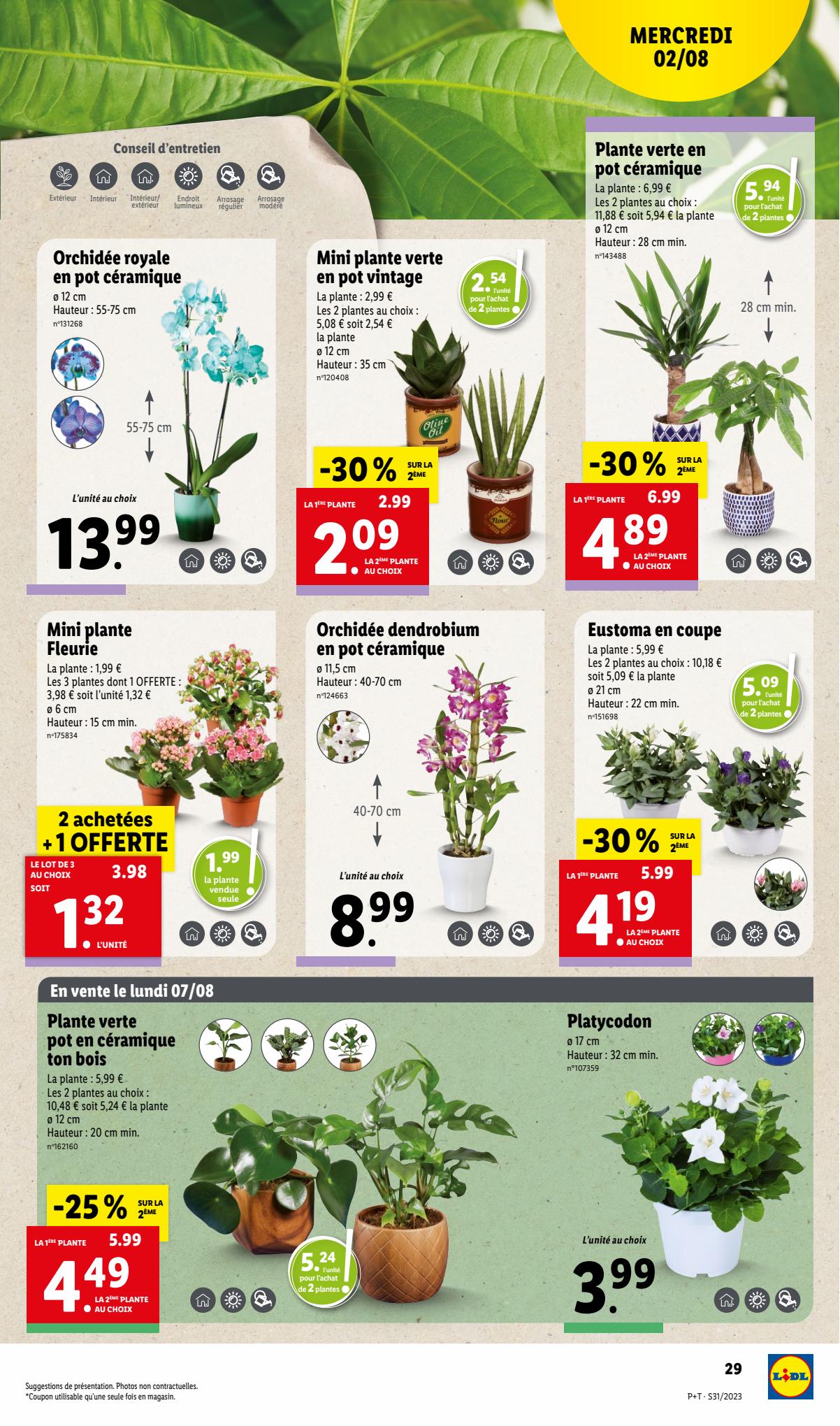 Catalogue Lidl 2 – 8 Août 2023 Page 31