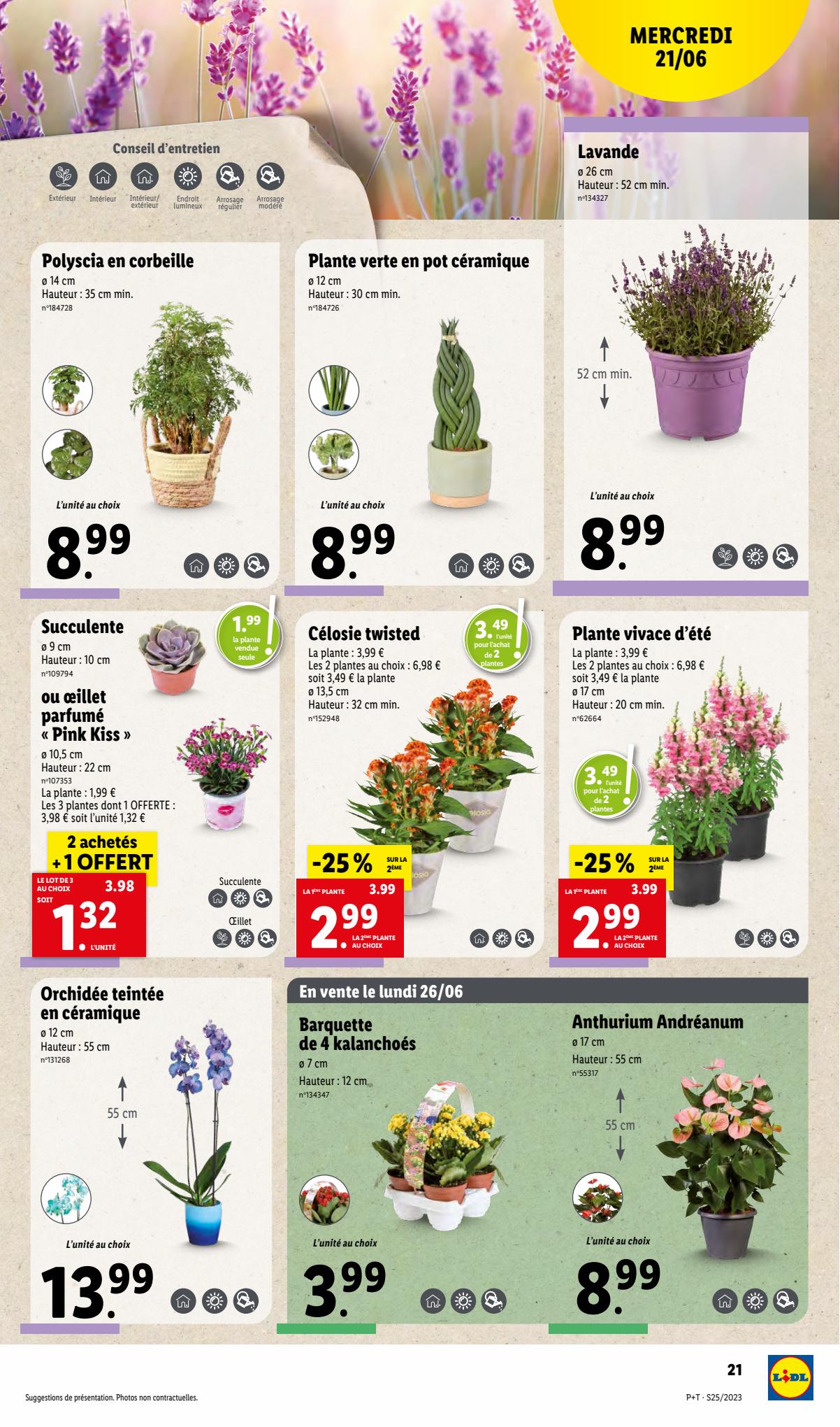 Catalogue Lidl 21 – 27 Juin 2023 Page 25