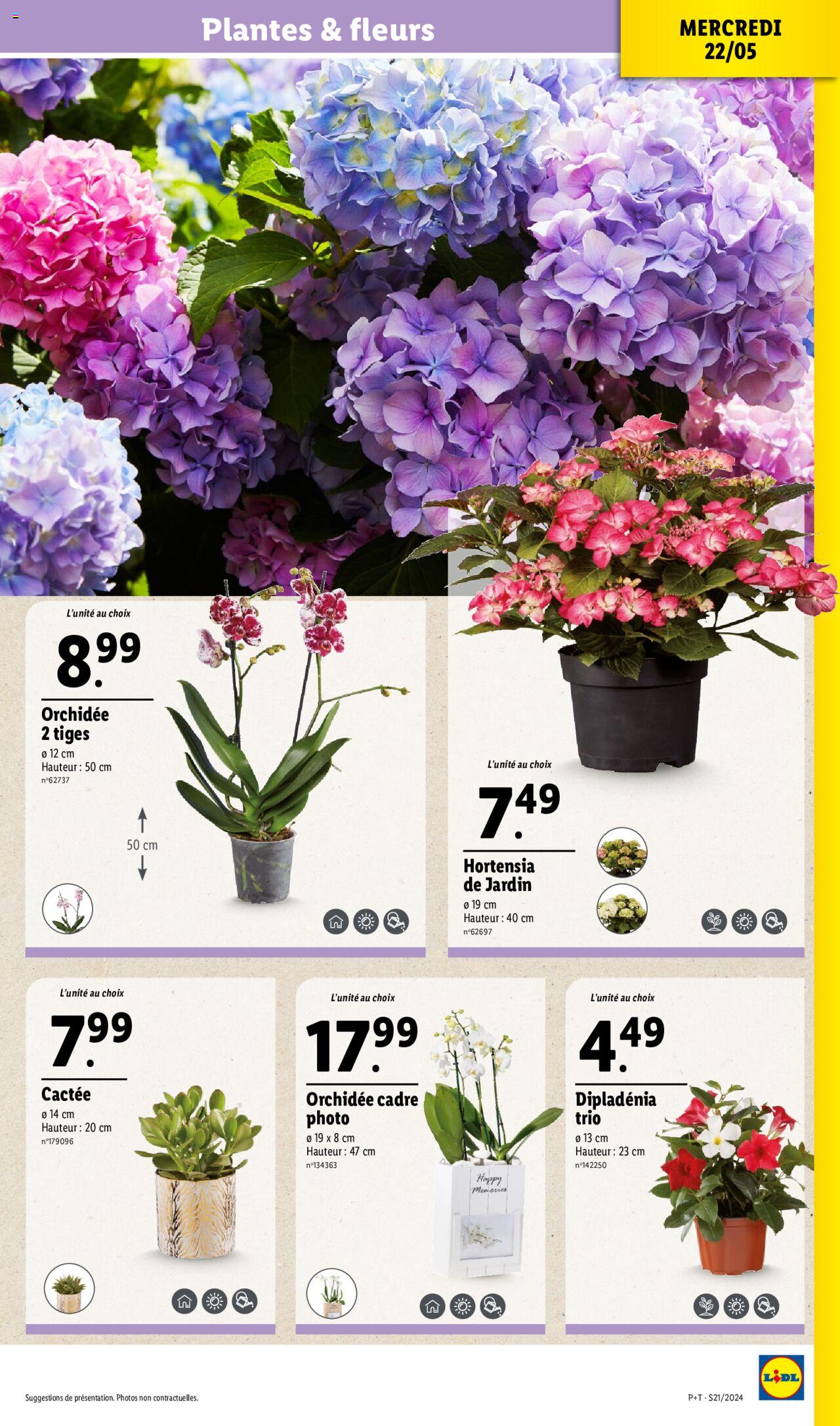 Catalogue Lidl 22 – 28 Mai 2024 Page 3