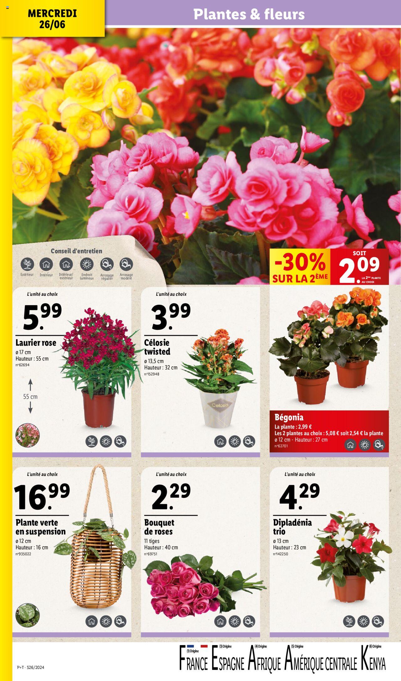 Catalogue Lidl 26 Juin – 2 Juillet 2024 Page 4