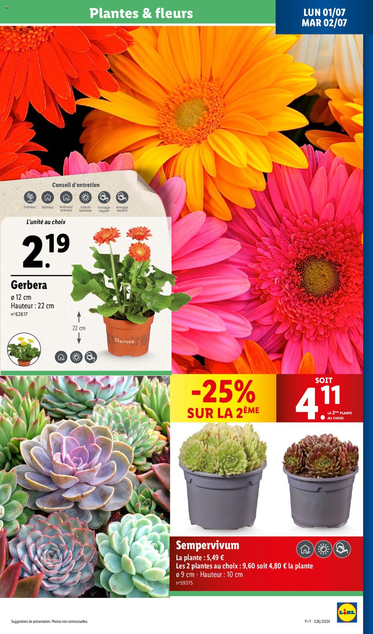 Catalogue Lidl 26 Juin – 2 Juillet 2024 Page 49