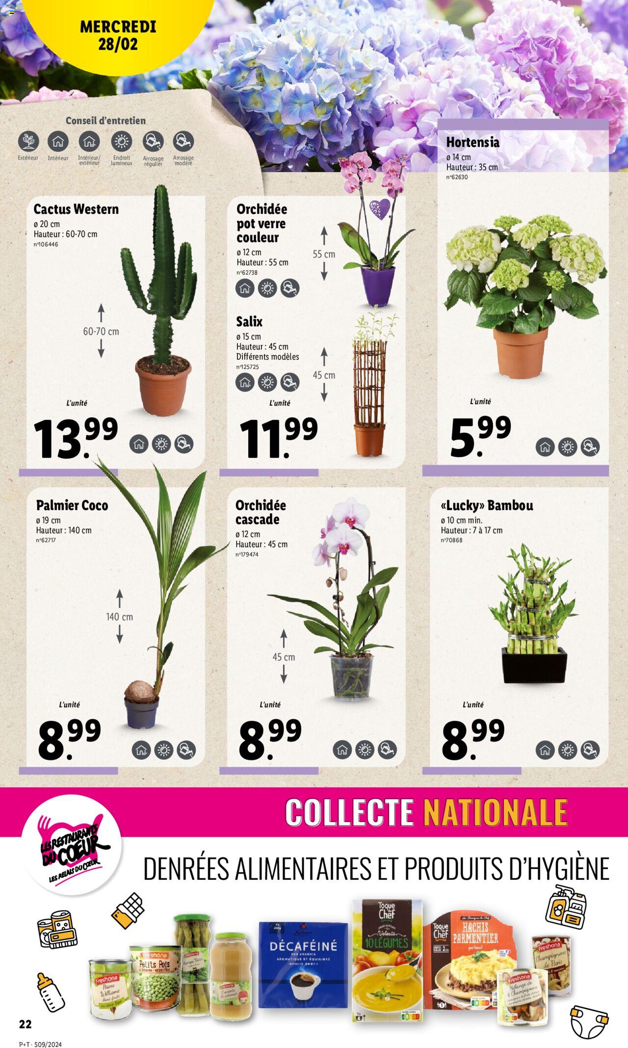 Catalogue Lidl 28 Feb – 5 Mar 2024 Page 22