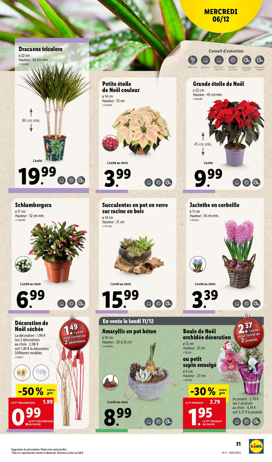 Catalogue Lidl 6 – 12 Décembre 2023 Page 31